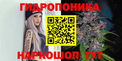 spice Тула