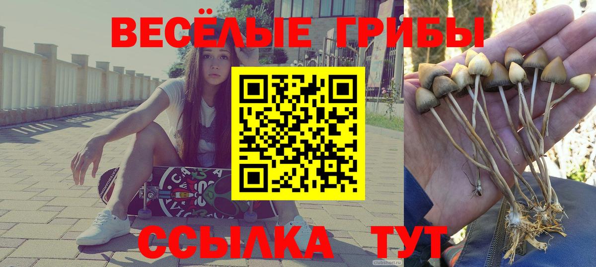 Зеленокумск  Псилоцибиновые грибы мухоморы  Вход с VPN 