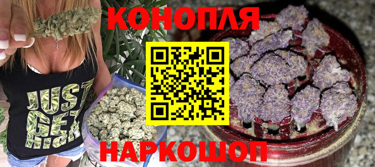 Бошки Шишки планчик Зеленокумск